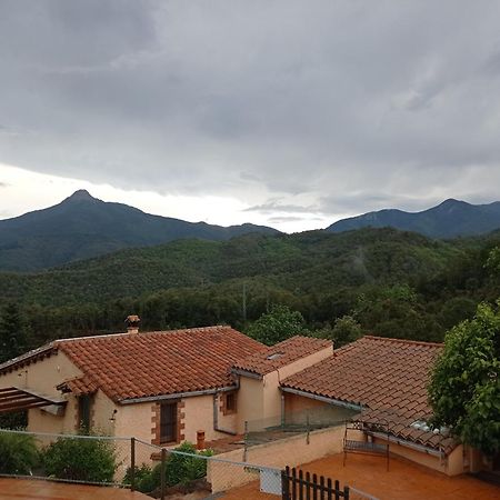 Apartamento En Pleno Montseny Mas Romeu Turisme Rural Arbúcies Esterno foto