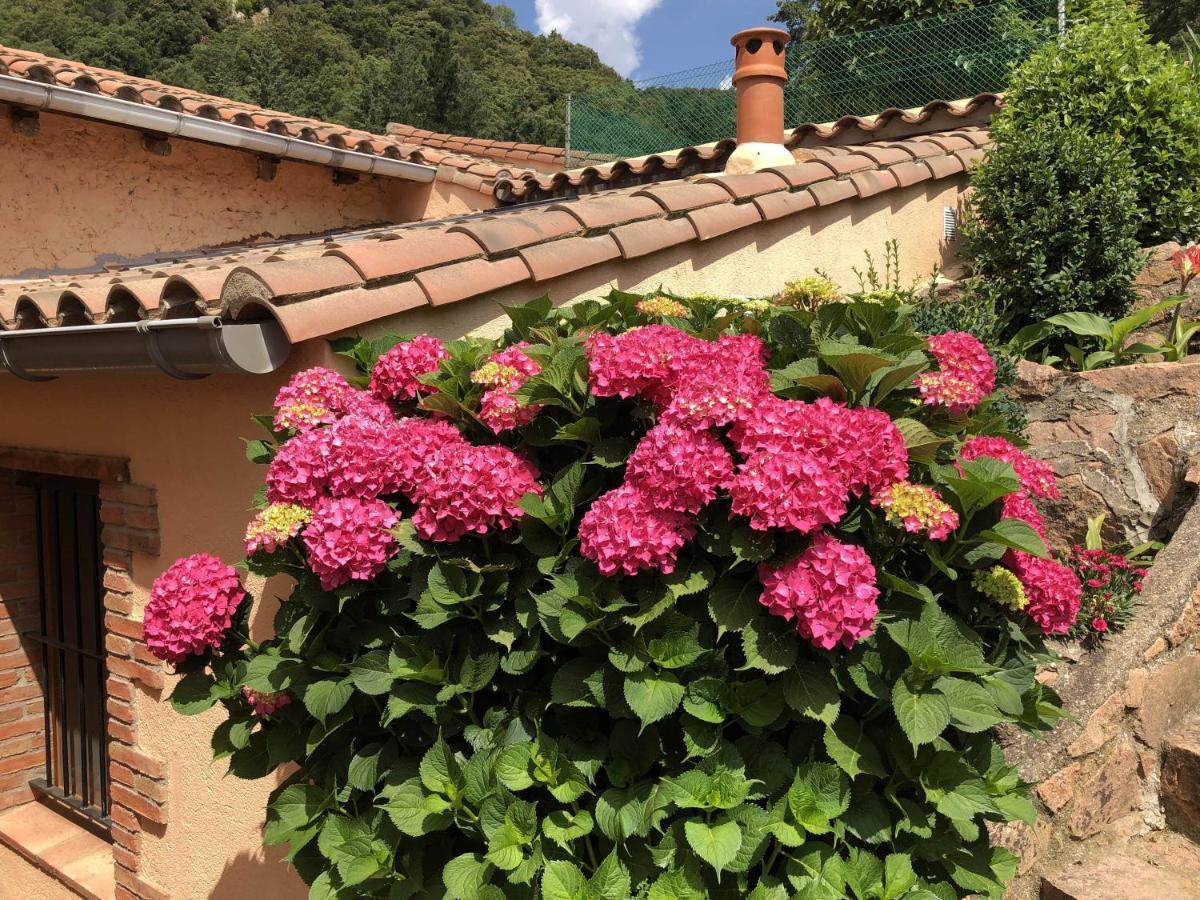 Apartamento En Pleno Montseny Mas Romeu Turisme Rural Arbúcies Esterno foto