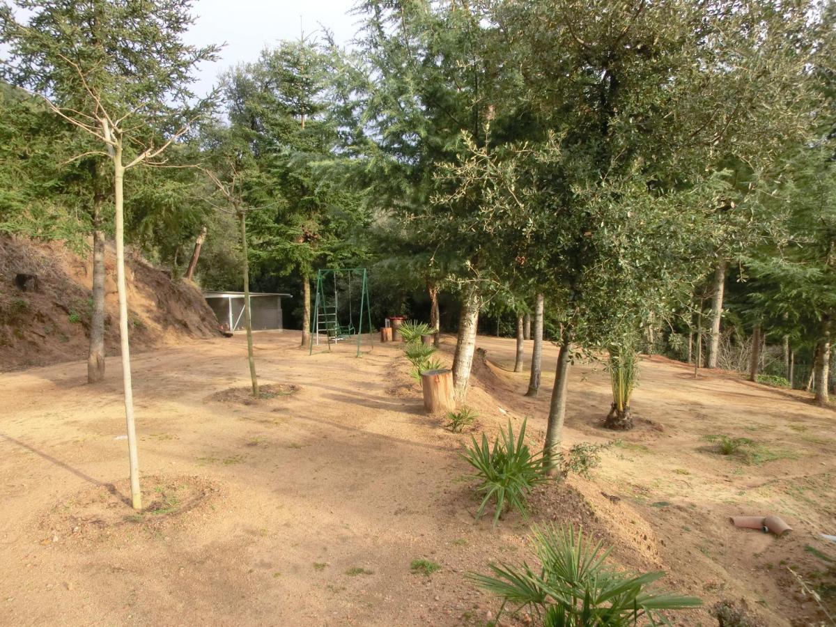 Apartamento En Pleno Montseny Mas Romeu Turisme Rural Arbúcies Esterno foto
