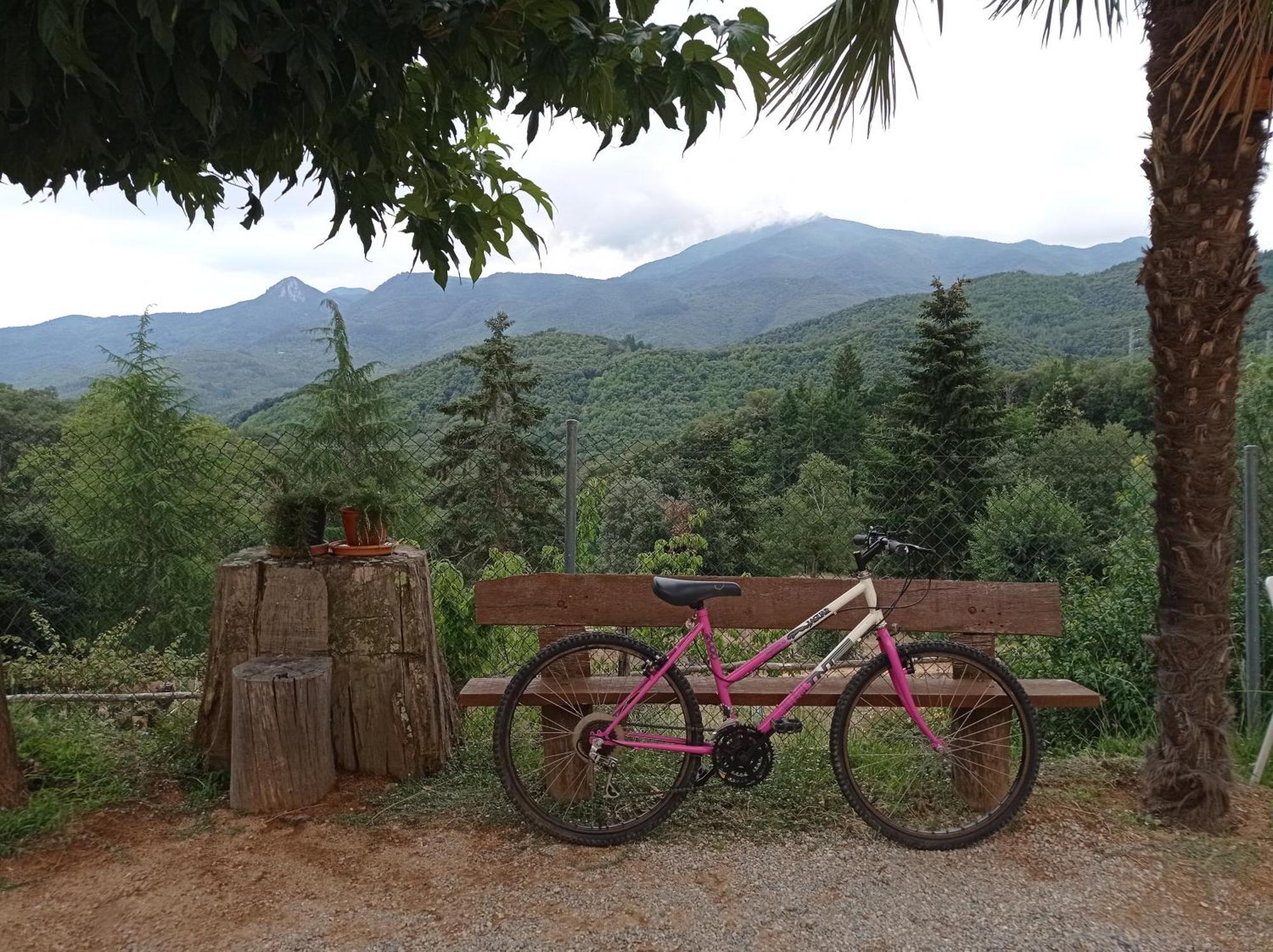 Apartamento En Pleno Montseny Mas Romeu Turisme Rural Arbúcies Esterno foto