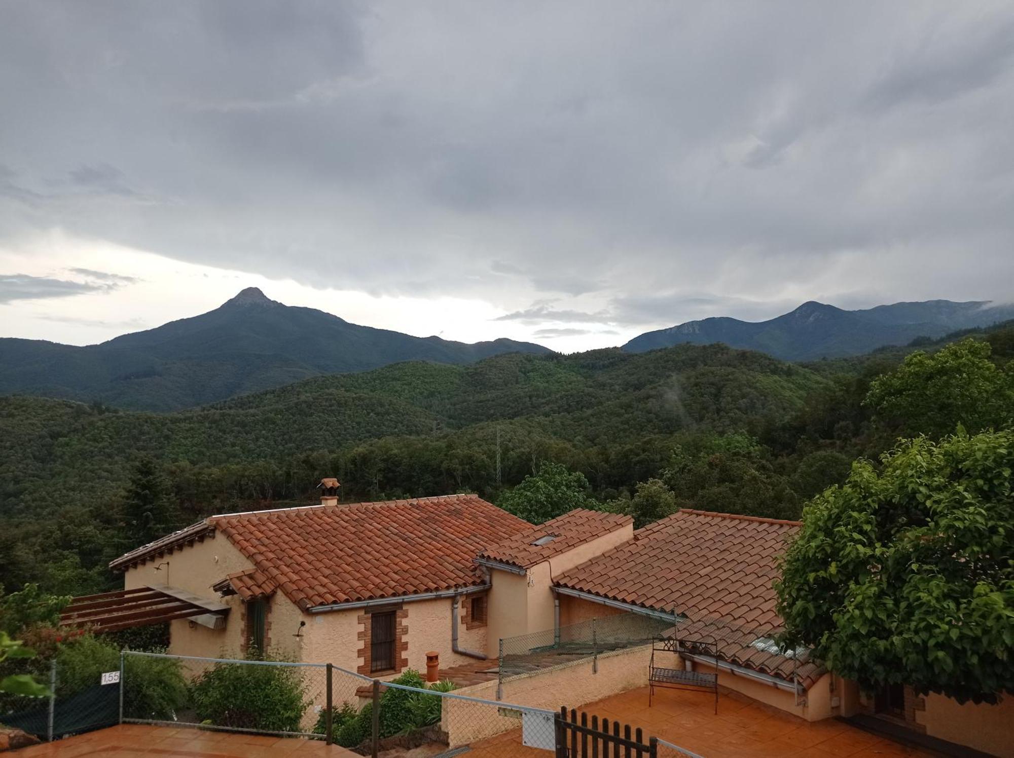Apartamento En Pleno Montseny Mas Romeu Turisme Rural Arbúcies Esterno foto
