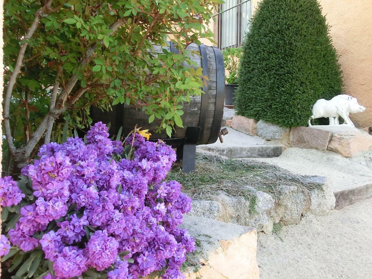 Apartamento En Pleno Montseny Mas Romeu Turisme Rural Arbúcies Esterno foto