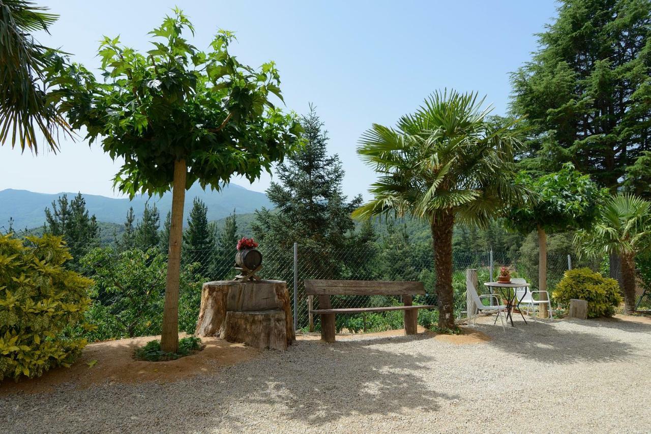 Apartamento En Pleno Montseny Mas Romeu Turisme Rural Arbúcies Esterno foto