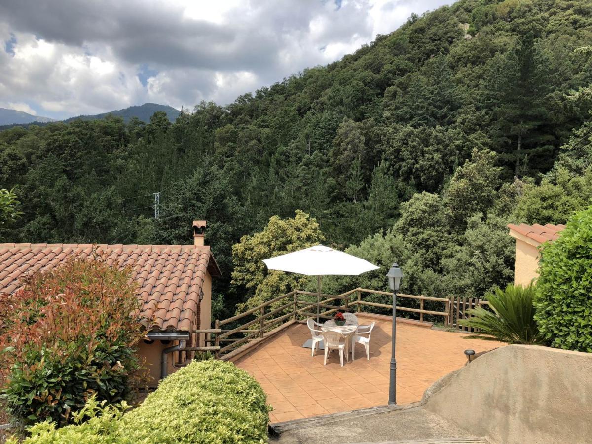 Apartamento En Pleno Montseny Mas Romeu Turisme Rural Arbúcies Esterno foto